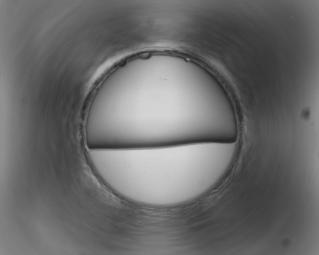 X0000116851412200912220932