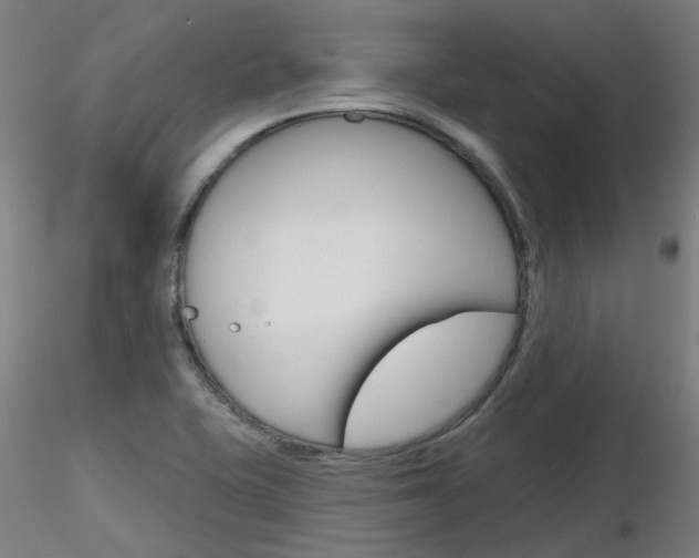 X0000116851415200912220932
