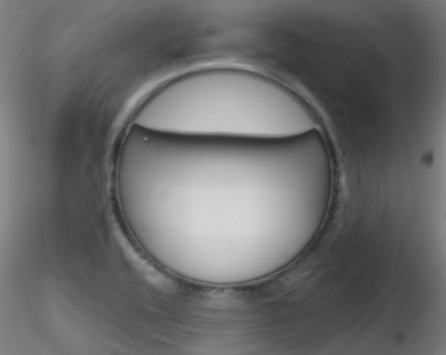 X0000116851416200912220932
