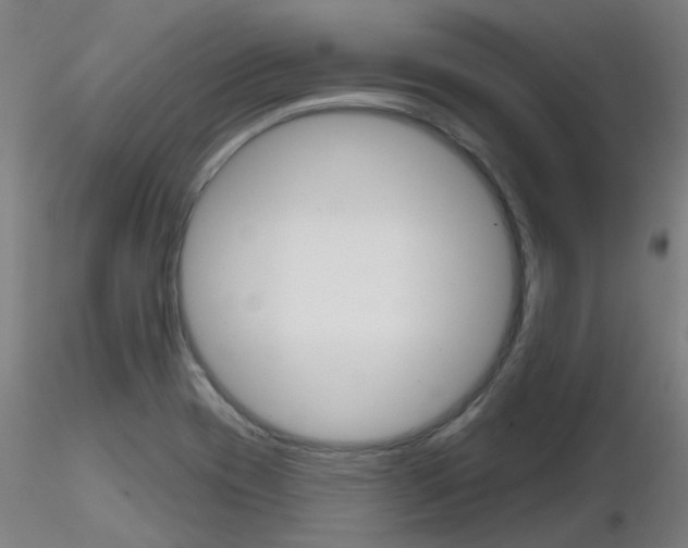 X0000116851417200912220932