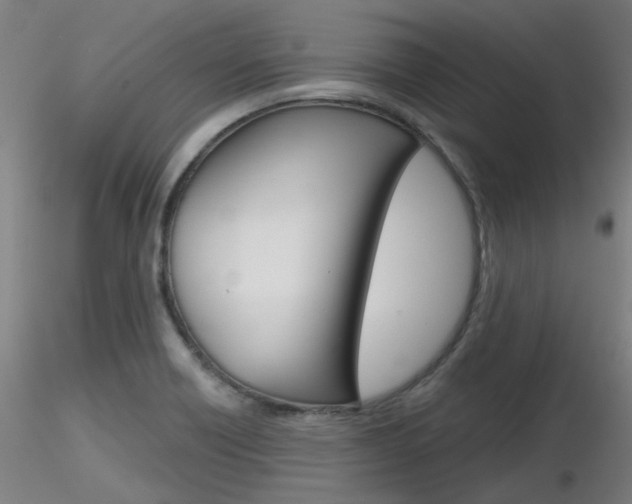 X0000116851418200912220932