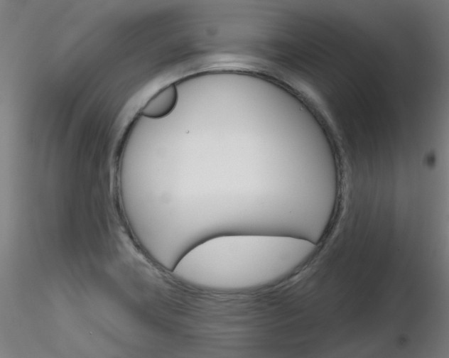 X0000116851419200912220932