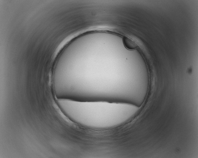 X0000116851420200912220932
