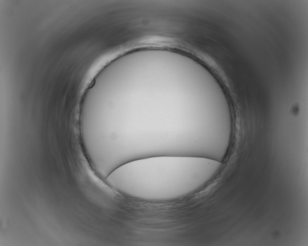 X0000116851421200912220932