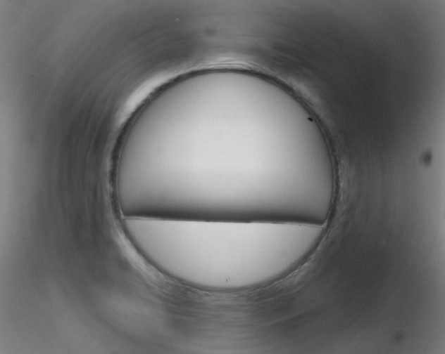 X0000116851422200912220932