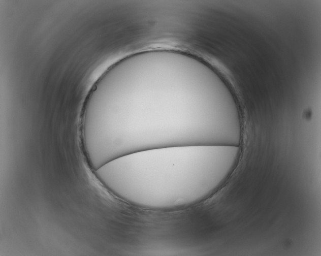 X0000116851423200912220932