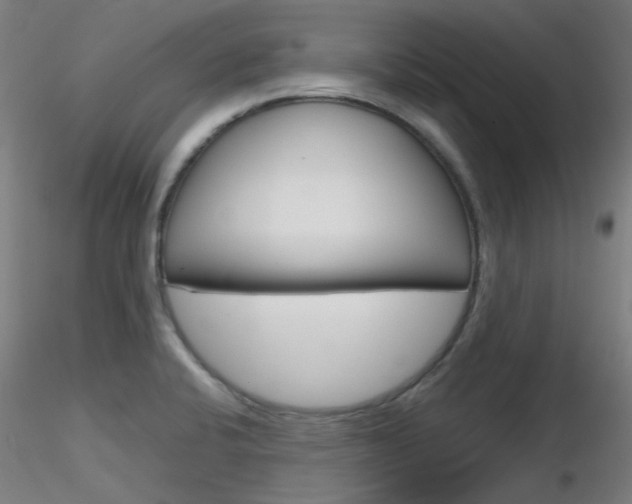 X0000116851424200912220932