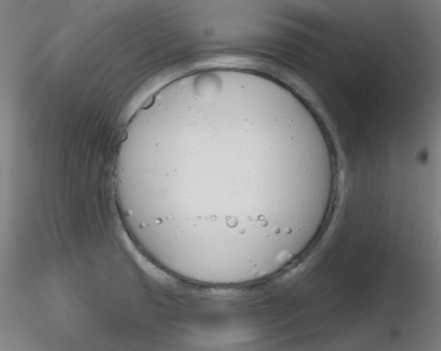 X0000116851425200912220932