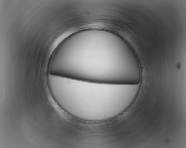 X0000116851426200912220932