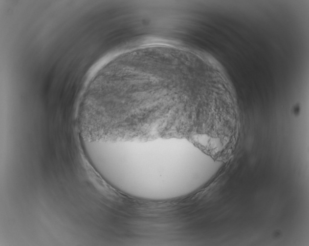 X0000116851427200912220932