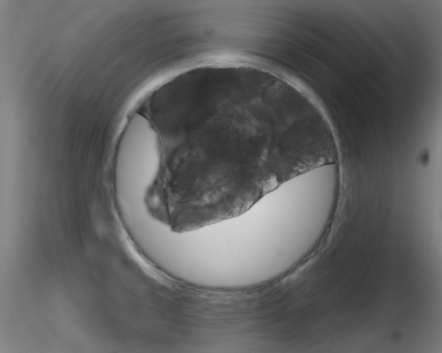 X0000116851429200912220932