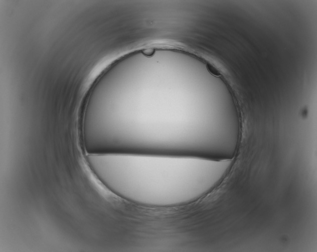 X0000116851430200912220932