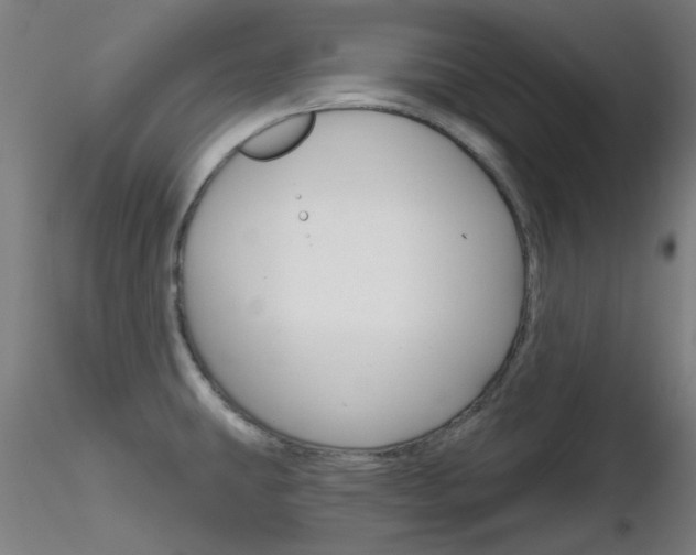 X0000116851431200912220932