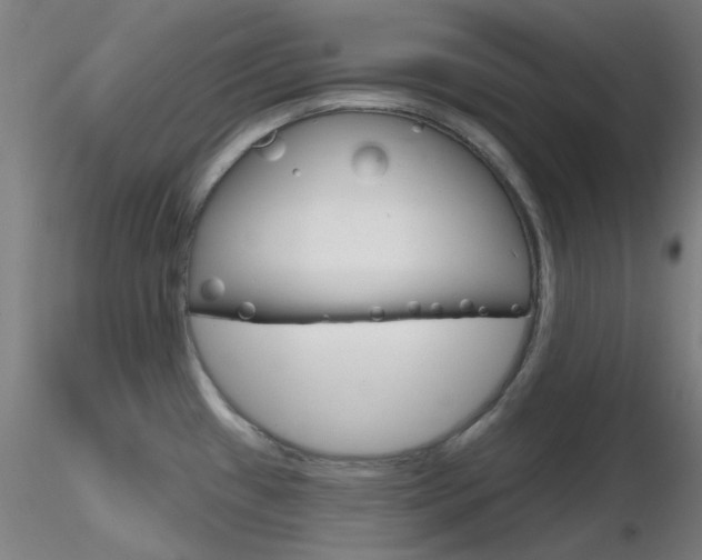 X0000116851433200912220932