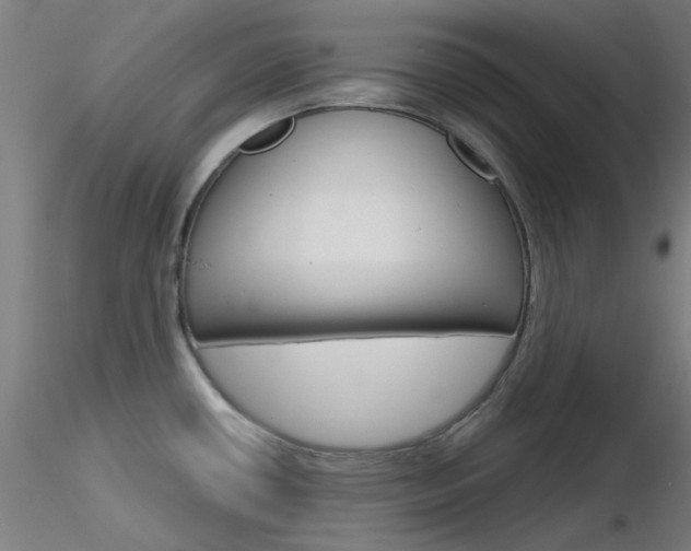X0000116851434200912220932