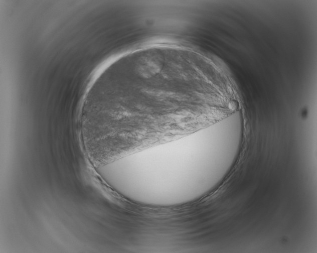 X0000116851435200912220932