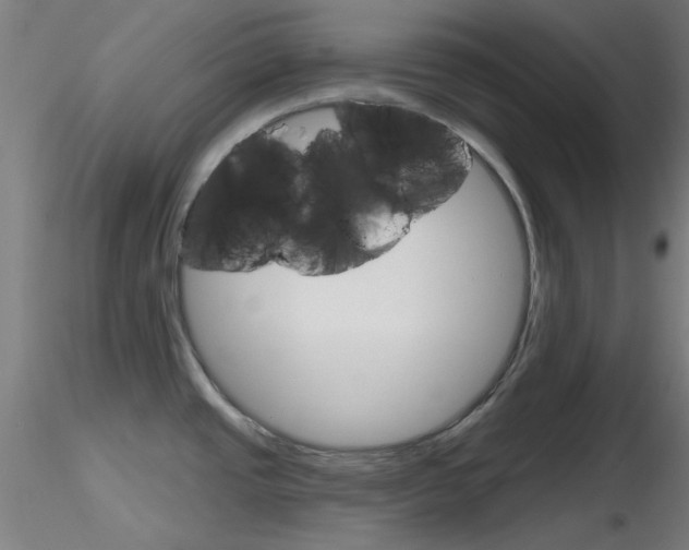 X0000116851437200912220932