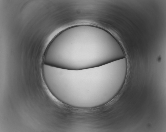 X0000116851438200912220932