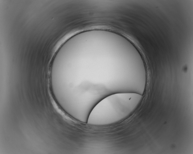 X0000116851439200912220932