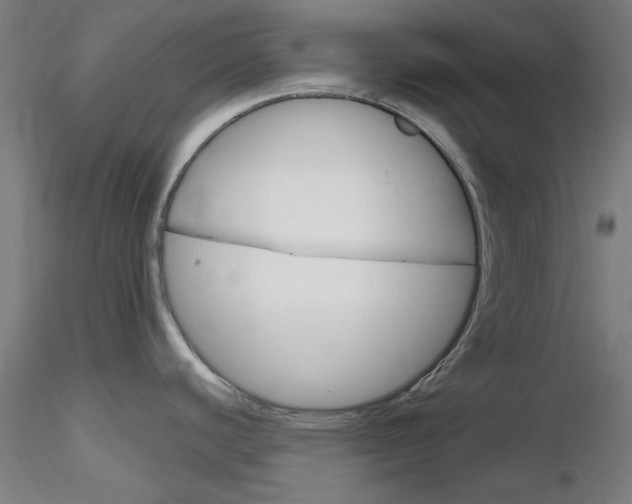 X0000116851440200912220932