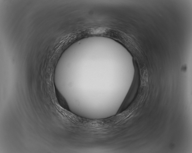X0000116851441200912220932