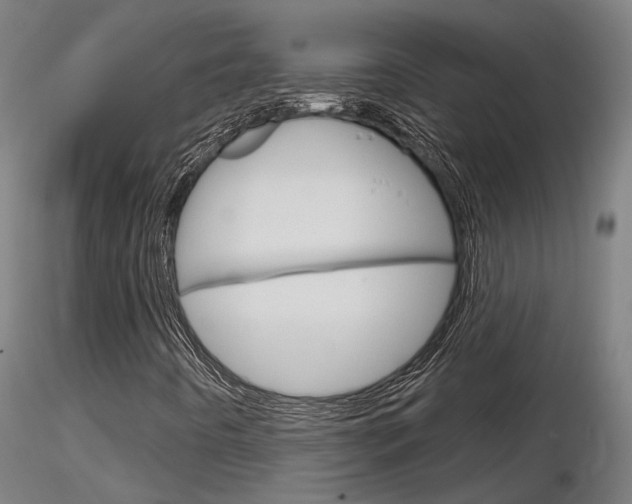 X0000116851442200912220932