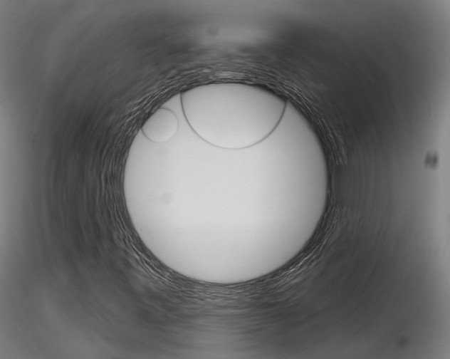 X0000116851443200912220932