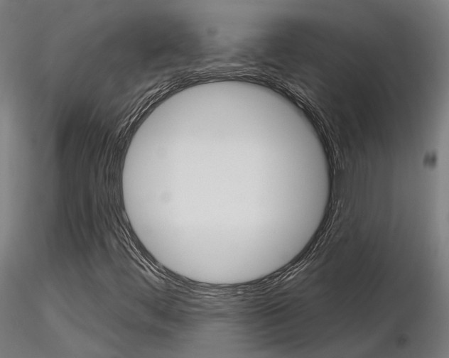 X0000116851444200912220932