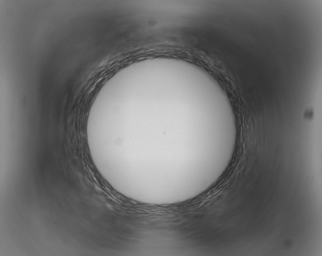 X0000116851445200912220932