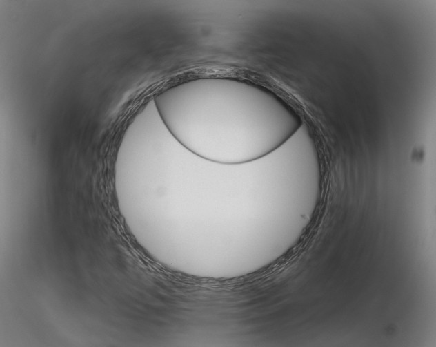 X0000116851447200912220932