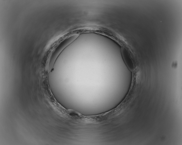 X0000116851448200912220932