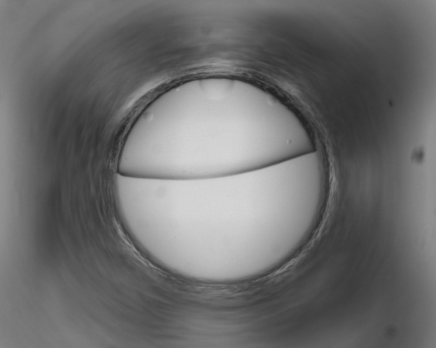 X0000116851450200912220932