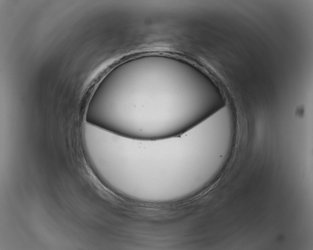 X0000116851452200912220932