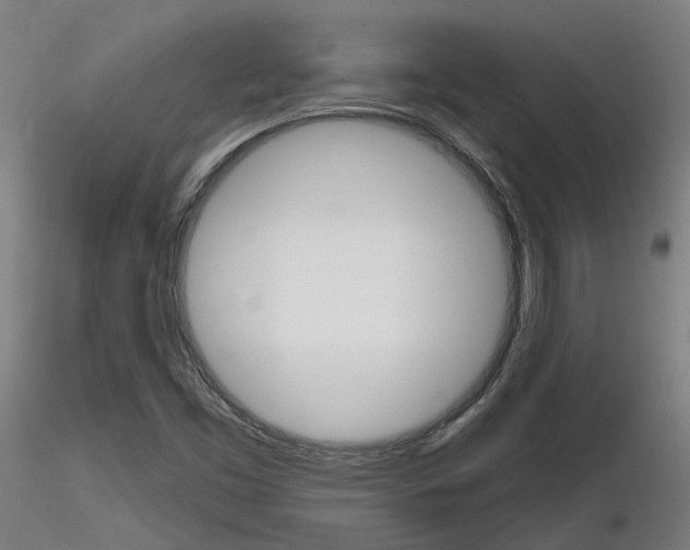 X0000116851453200912220932