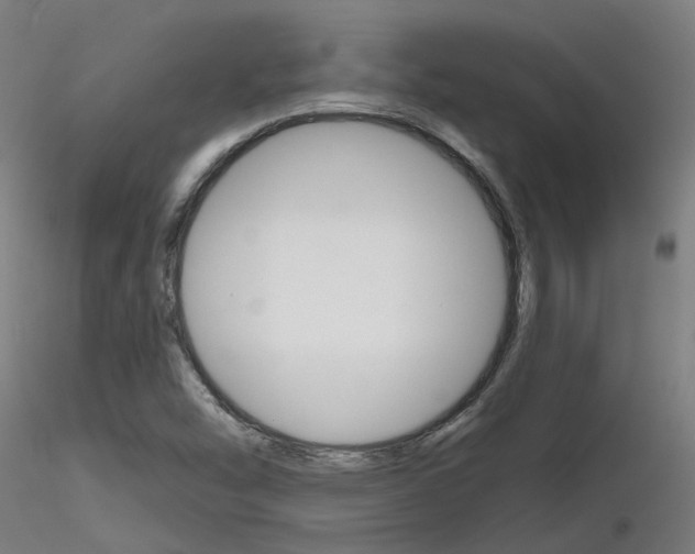 X0000116851454200912220932