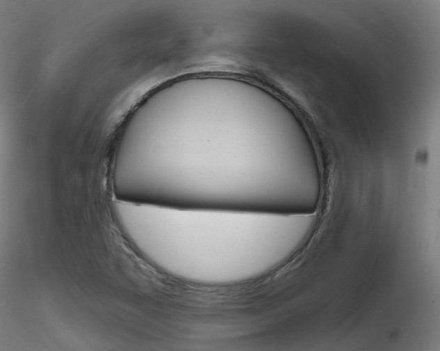 X0000116851455200912220932