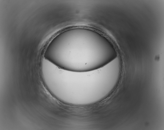 X0000116851456200912220932