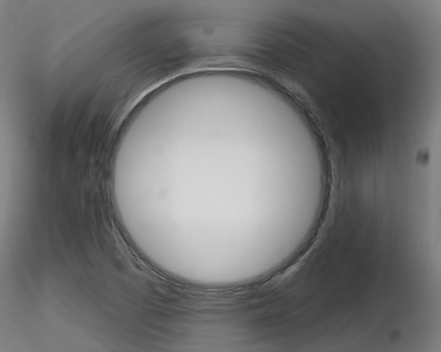 X0000116851457200912220932