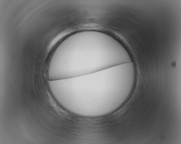 X0000116851458200912220932