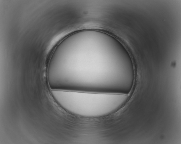 X0000116851461200912220932