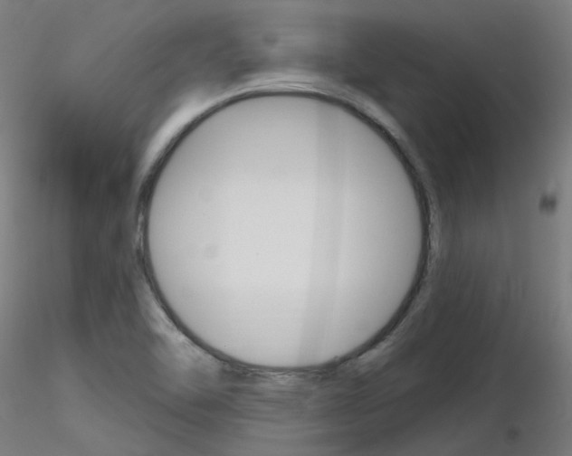 X0000116851462200912220931