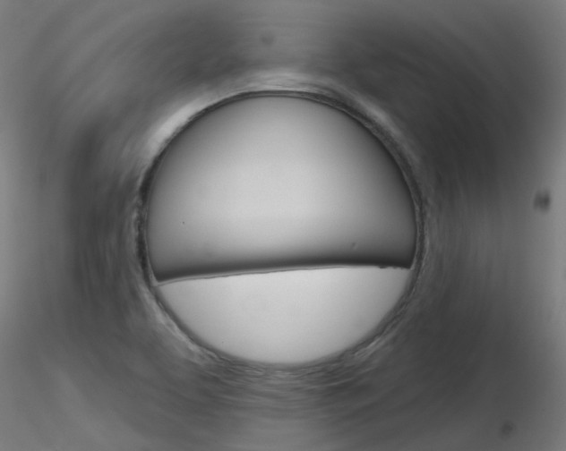 X0000116851463200912220931