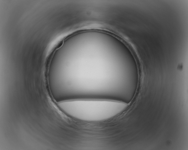 X0000116851464200912220931