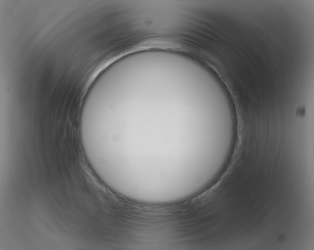 X0000116851465200912220931