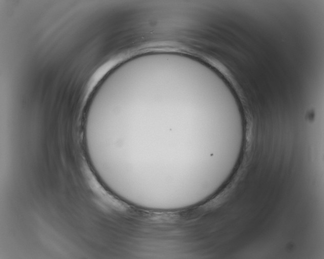 X0000116851466200912220931