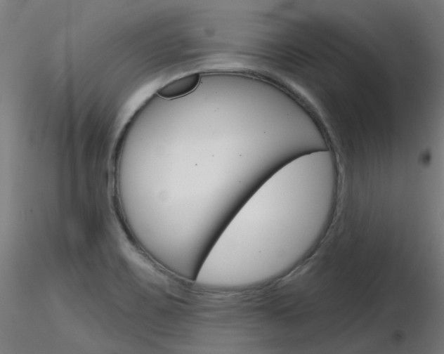 X0000116851467200912220931