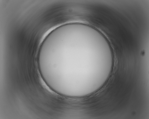 X0000116851468200912220931