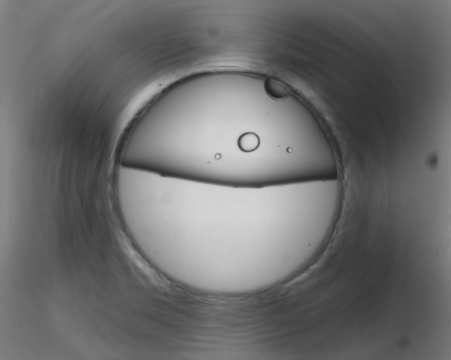 X0000116851469200912220931