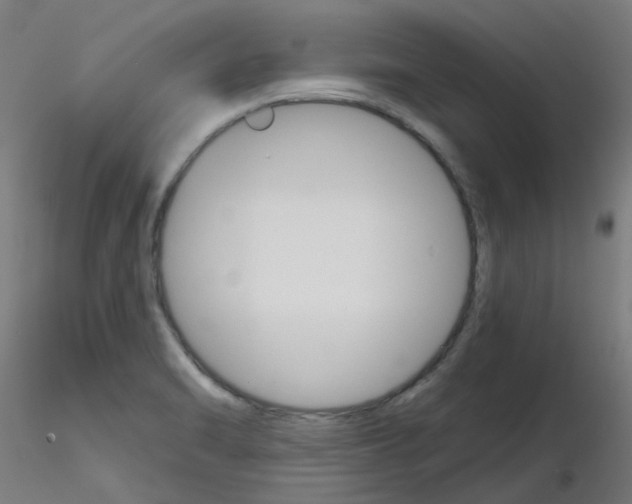 X0000116851470200912220931
