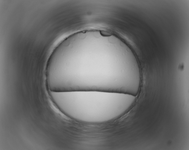 X0000116851471200912220931